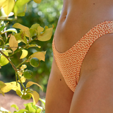 Cosmopolitan Bottom