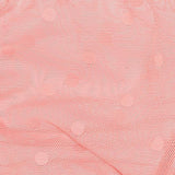 Arya Brief