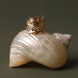 Fernella Ring